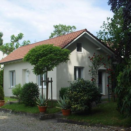 Villa Maja Markdorf Dış mekan fotoğraf