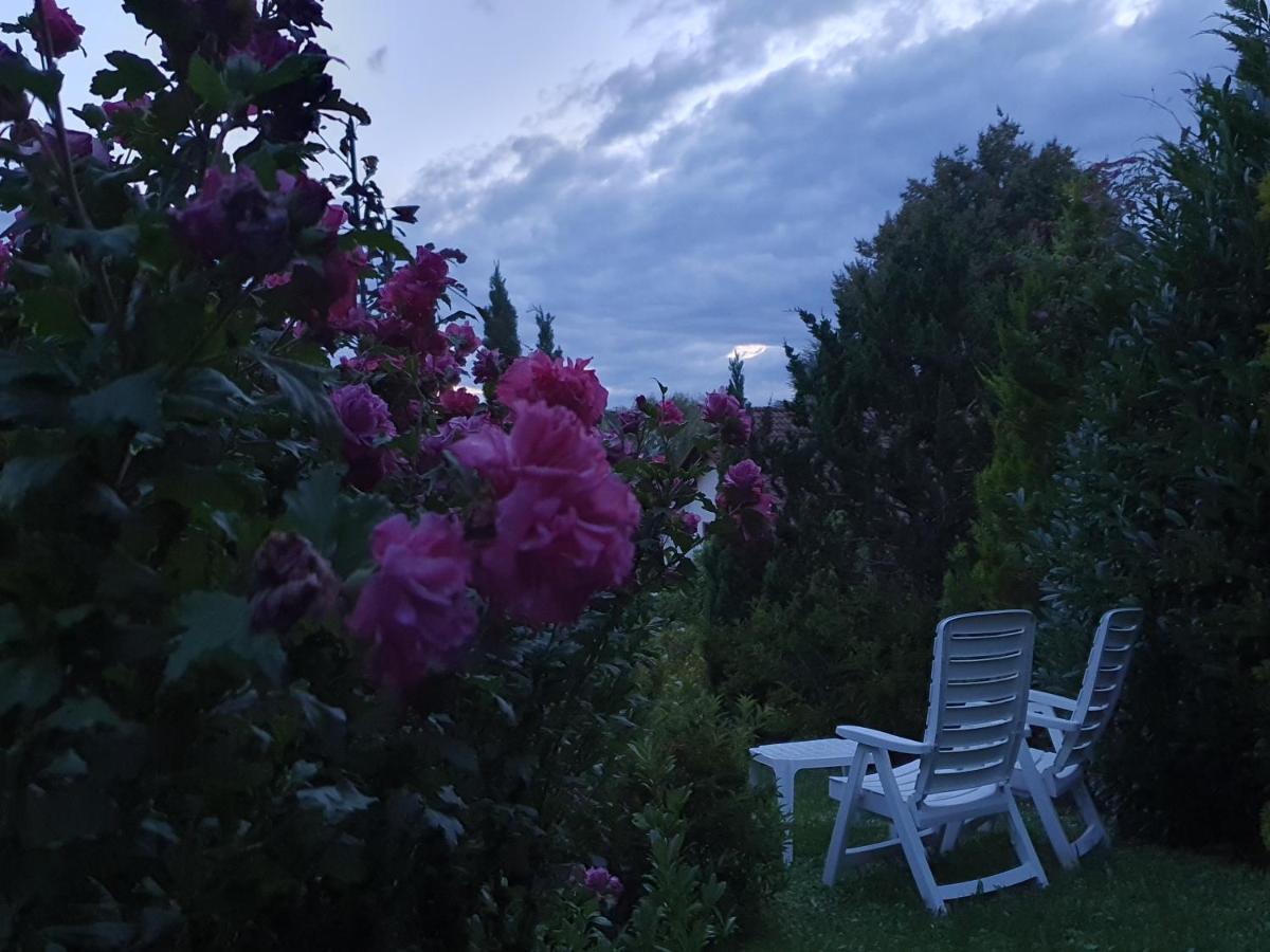 Villa Maja Markdorf Dış mekan fotoğraf